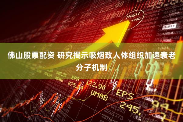 佛山股票配资 研究揭示吸烟致人体组织加速衰老分子机制