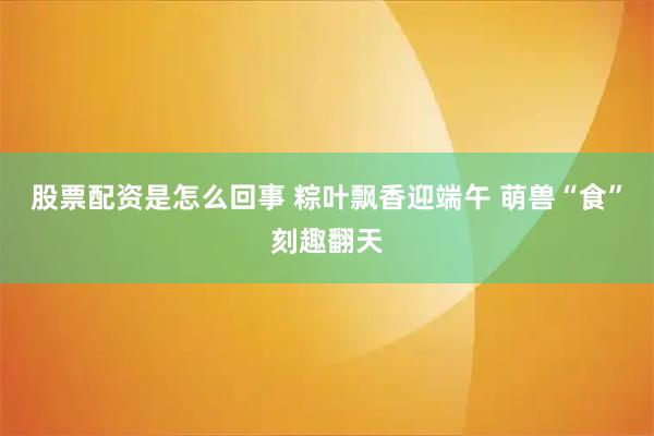 股票配资是怎么回事 粽叶飘香迎端午 萌兽“食”刻趣翻天